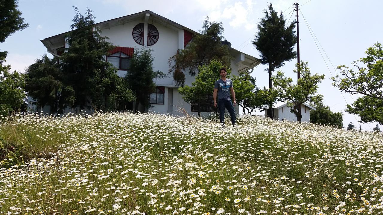 Vila Himalayan Aleph Hospitality Kanatal Exteriér fotografie